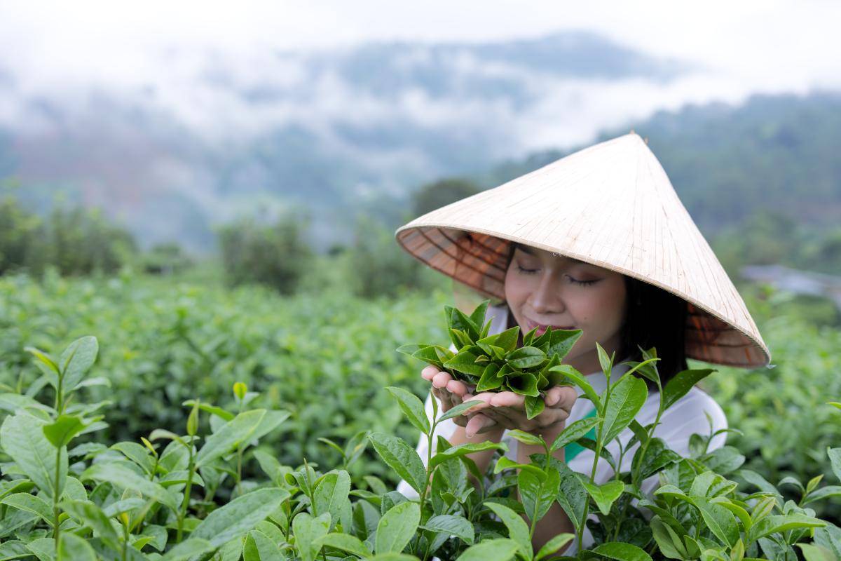 贵阳茶博会改变当下(图6)