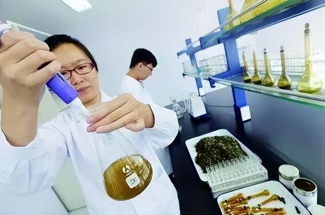 一jbo竞博app官网天两次预警欧盟拒中国茶叶入境！是刻意针对还是另有原因？(图7)