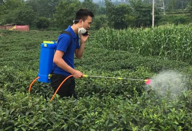 一jbo竞博app官网天两次预警欧盟拒中国茶叶入境！是刻意针对还是另有原因？(图20)