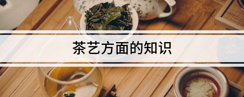 茶艺方面的知识(图1)