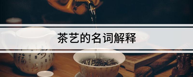 茶艺的名词解释(图1)