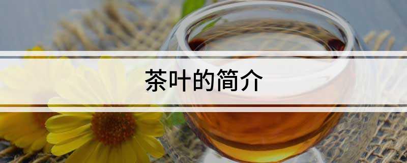 茶叶的简介(图1)