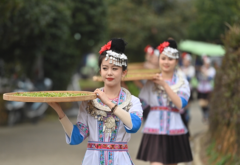 茶叶富侗乡(图8)