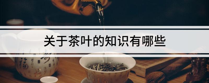 关于茶叶的知识有哪些(图1)