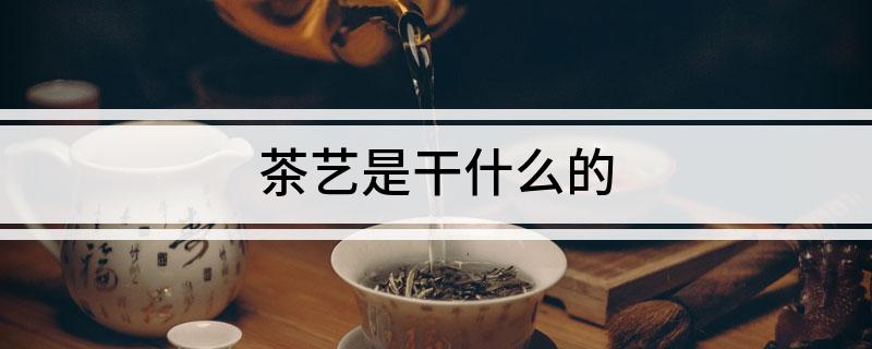 茶艺是干什么的(图1)