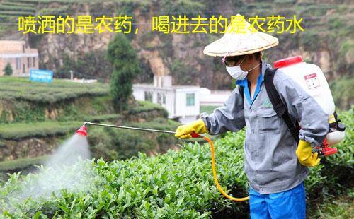 茶叶也不能喝了欧盟一天两拒中国茶：茶叶安全质量标准太奇葩jbo竞博登录(图3)