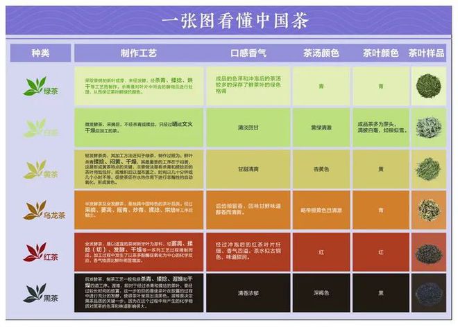 jbo竞博下载“走进文化中国”——一起感知“万里茶道”的历史与今天(图6)