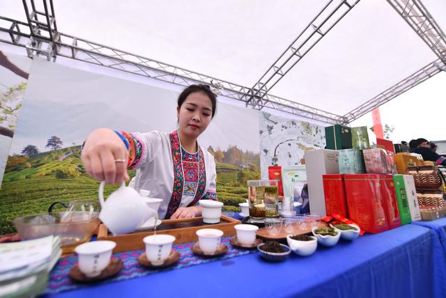 重走“万里茶道”：让中国茶“走”世界“心”