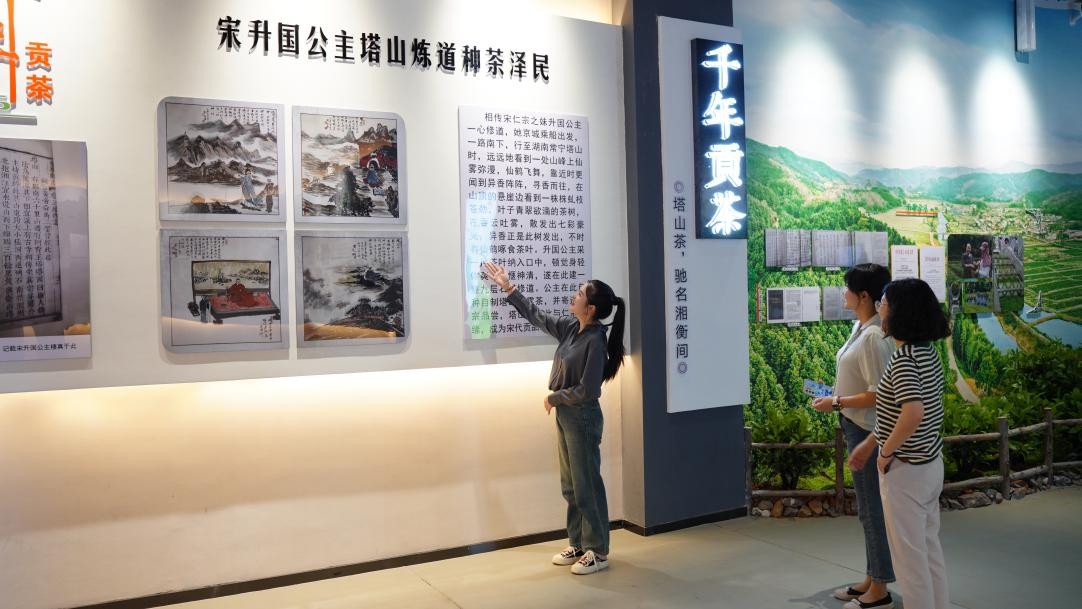 【2023湖南茶叶“三茶统筹”先行县（市）】常宁市：山高茶香幸福长(图7)