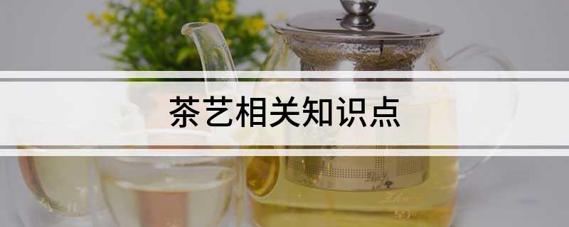 茶艺相关知识点(图1)