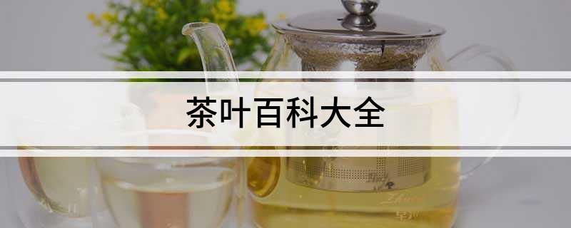 茶叶百科大全(图1)