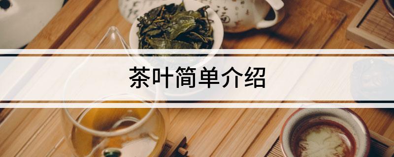 茶叶简单介绍(图1)