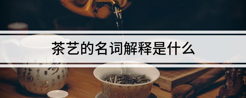 茶艺的名词解释是什么(图1)