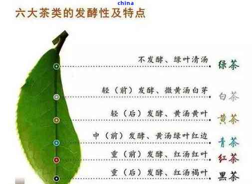 茶叶的简单介绍：全面了解茶叶的基本知识与特点(图1)