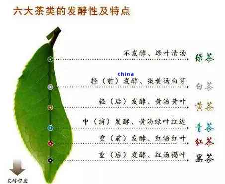 茶叶的简单介绍：全面了解茶叶的基本知识与特点(图3)