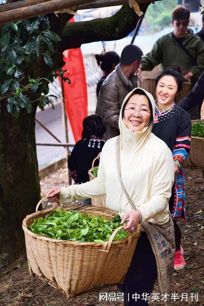 jbo竞博官网非遗文化｜鹤园传道 茶和天下(图2)