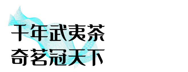 jbo竞博官网南平 万里茶道起点今犹在来武夷探寻这条“世纪动脉”(图8)