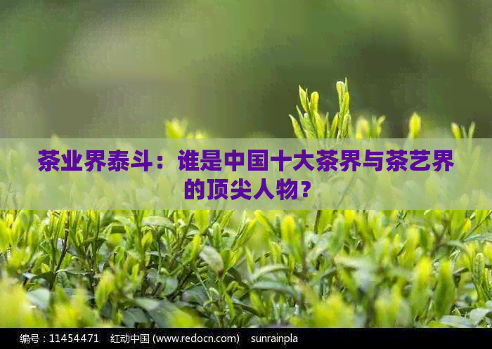 茶业界泰斗：谁是中国十大茶界与茶艺界的顶尖人物？(图1)