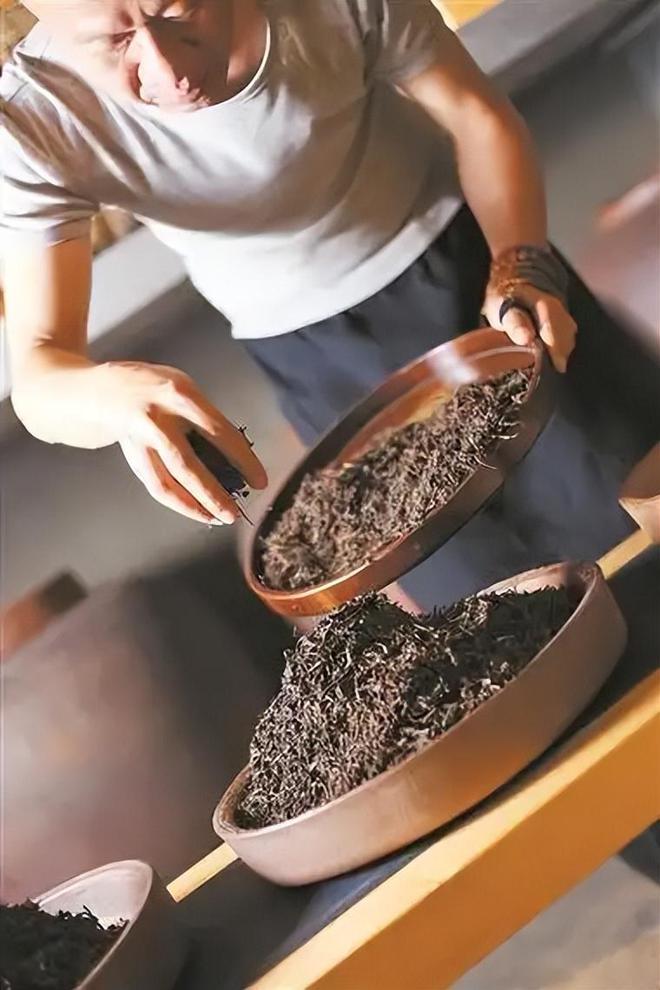 1斤茶210万比黄金还贵的“天价茶”茶树超3200年真的值吗？(图12)