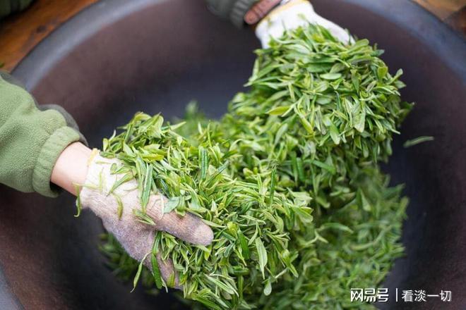 健康茶饮大赏——探寻茶的魅力与健康秘密(图3)