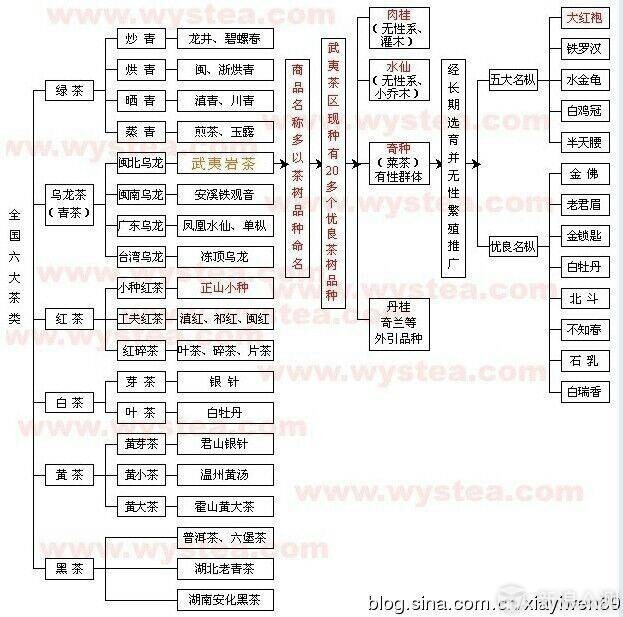 jbo竞博平台了解茶叶读这一篇就够了：茶叶分类及十大名茶(图21)