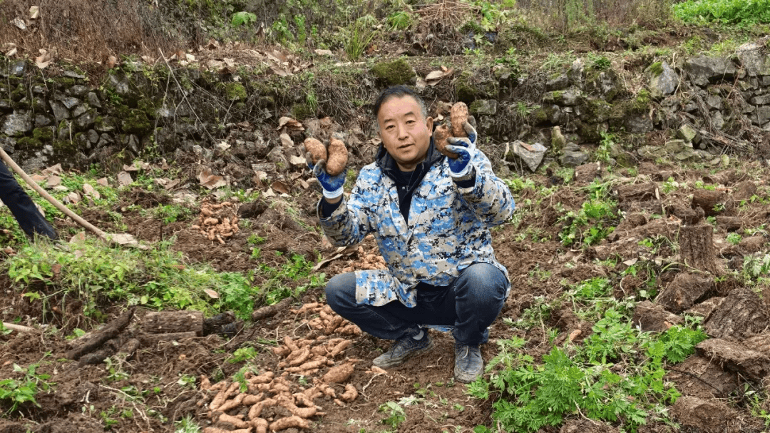 jbo竞博网址茶艺争雄评茶逐鹿五峰多人获奖→(图1)