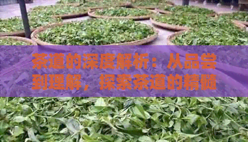 jbo竞博APP普洱茶知识(图1)