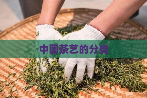 中国茶艺的分类(图5)