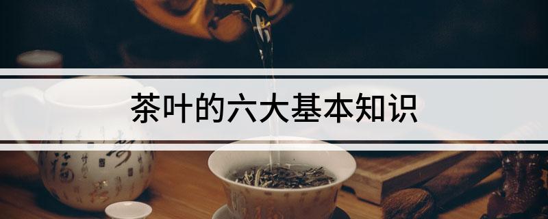 jbo竞博网址茶叶的六大基本知识(图1)