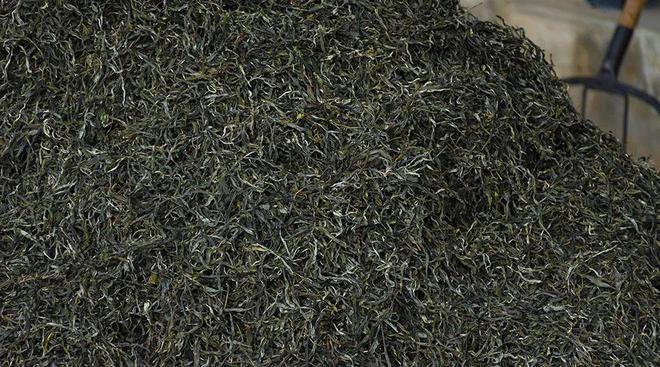 茶商：做茶一年又赚一堆茶叶小茶企山头茶市场的jbo竞博平台(图8)