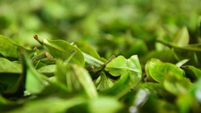 茶商：做茶一年又赚一堆茶叶小茶企山头茶市场的jbo竞博平台(图11)