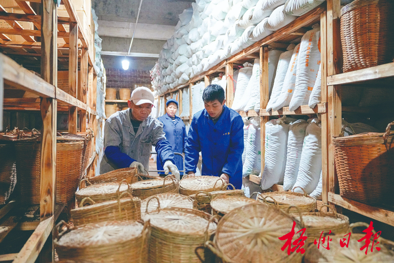 古韵茶香jbo竞博入口飘年味 茶乡茶企销售忙(图1)