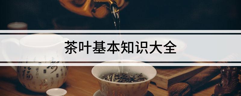 茶叶基本知识大全(图1)