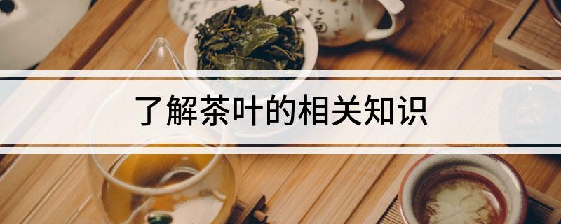 jbo竞博平台了解茶叶的相关知识(图1)