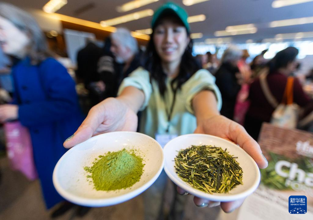 多伦多举办茶文化节(图3)