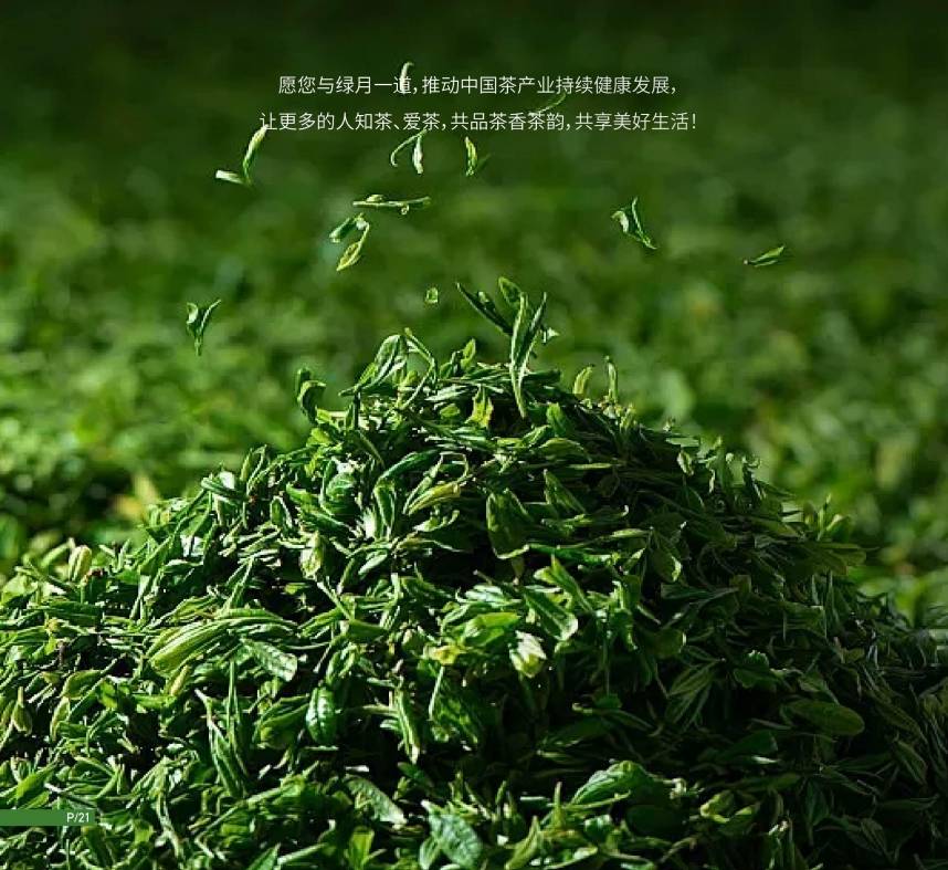 绿月茶业：茶文化的重点是茶艺(图1)