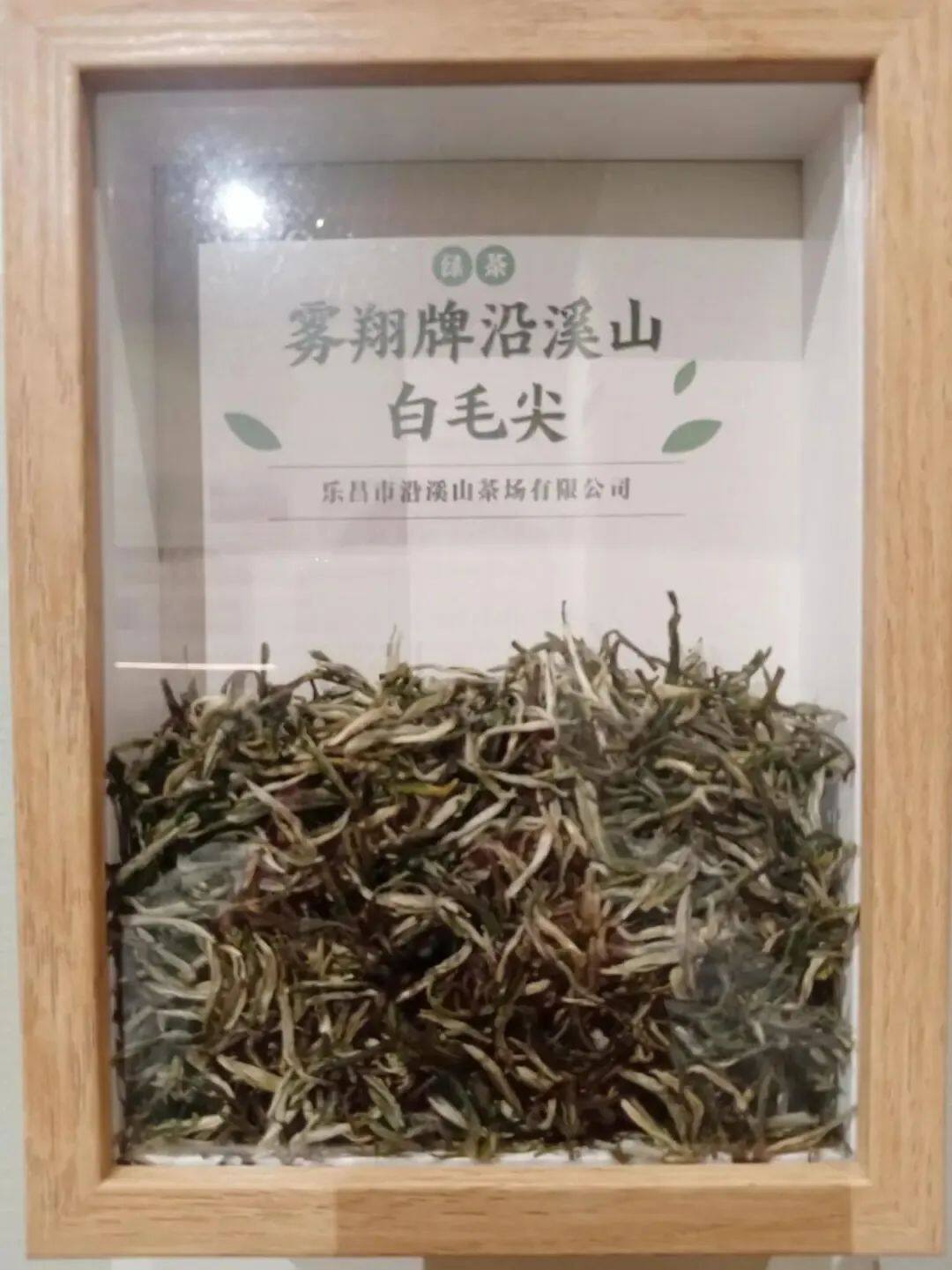 给世界一杯好茶(图9)