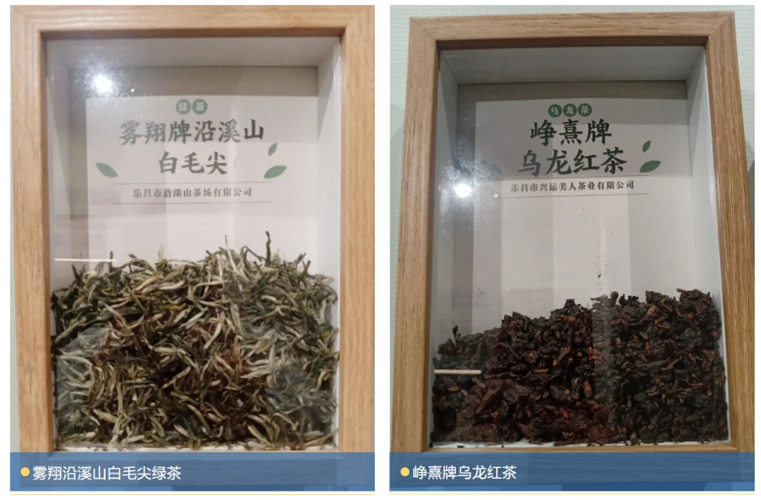 给世界一杯好茶(图15)