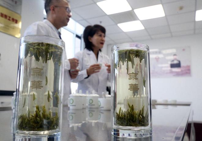 摄影记者深入京华茶业 探访老字号的茶香韵味(图1)