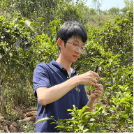 jbo竞博官网云南中茶茶业有限公司“中茶普洱研修院（成都站）” 招生简章(图4)