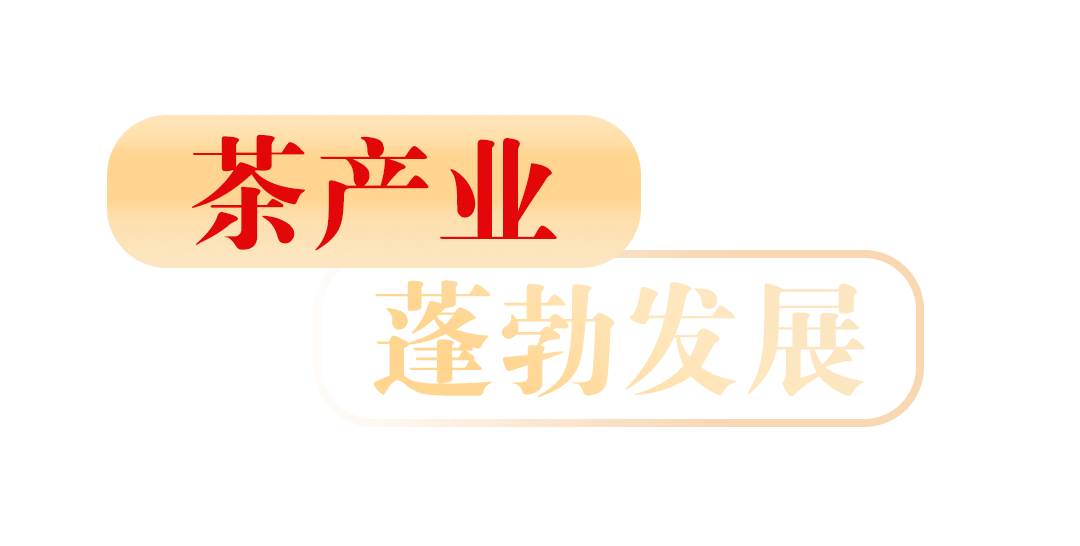 喜报日春再获安溪县“三茶”统筹工作表现优异单位(图1)